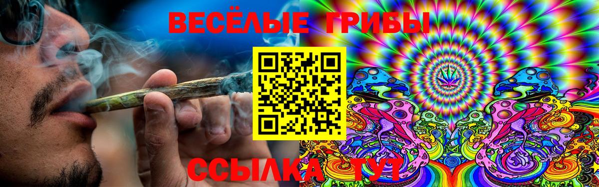 Псилоцибиновые грибы ЛСД Полевской