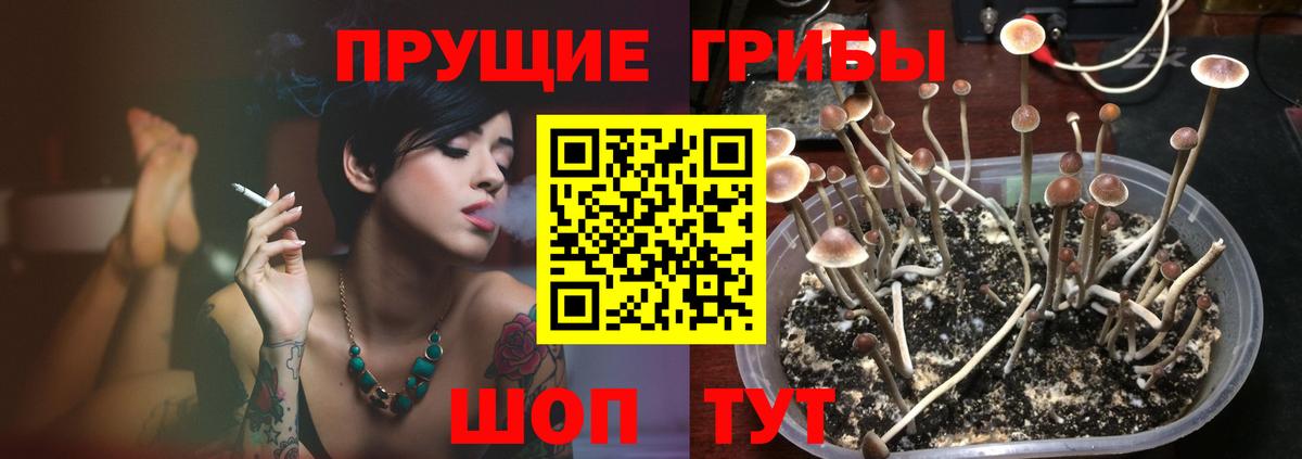 Полевской  Галлюциногенные грибы Cubensis  Псилоцибиновые грибы GOLDEN TEACHER  Вход с VPN 