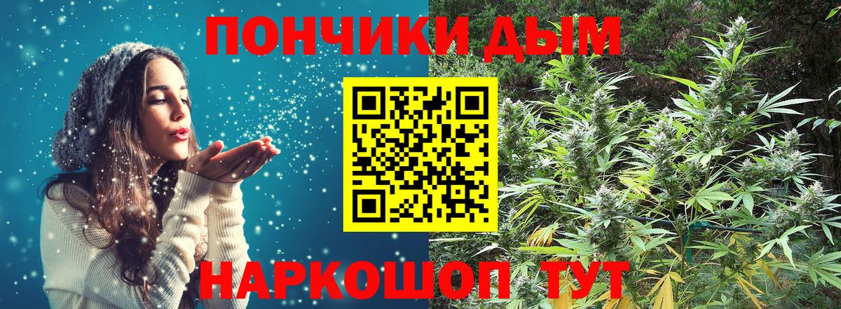 Каннабис индика Полевской